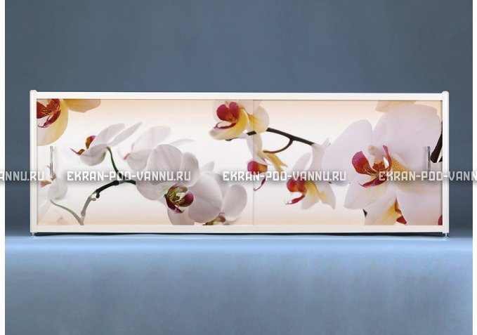 Раздвижной ФОТО экран - Orchid – купить по цене 8500 руб. в интернет-магазине в городе Брянск картинка 1