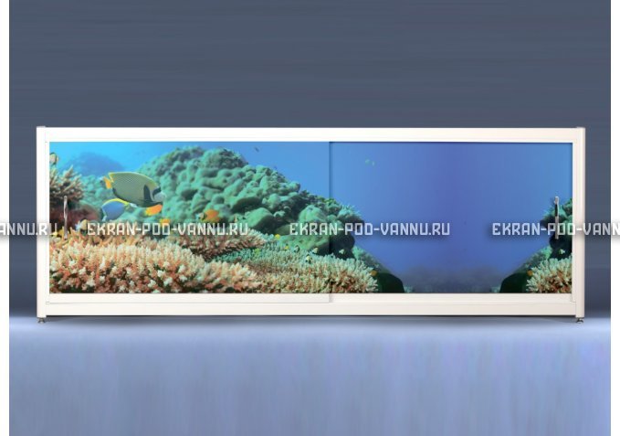 Экран на роликах EUROPLEX Коралловые рифы – купить по цене 12400 руб. в интернет-магазине в городе Брянск картинка 1